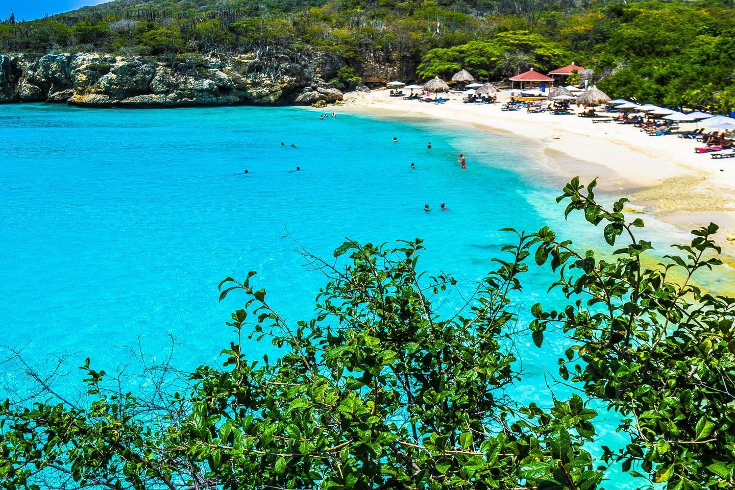 Een strand aan de helderblauwe zee op Curaçao