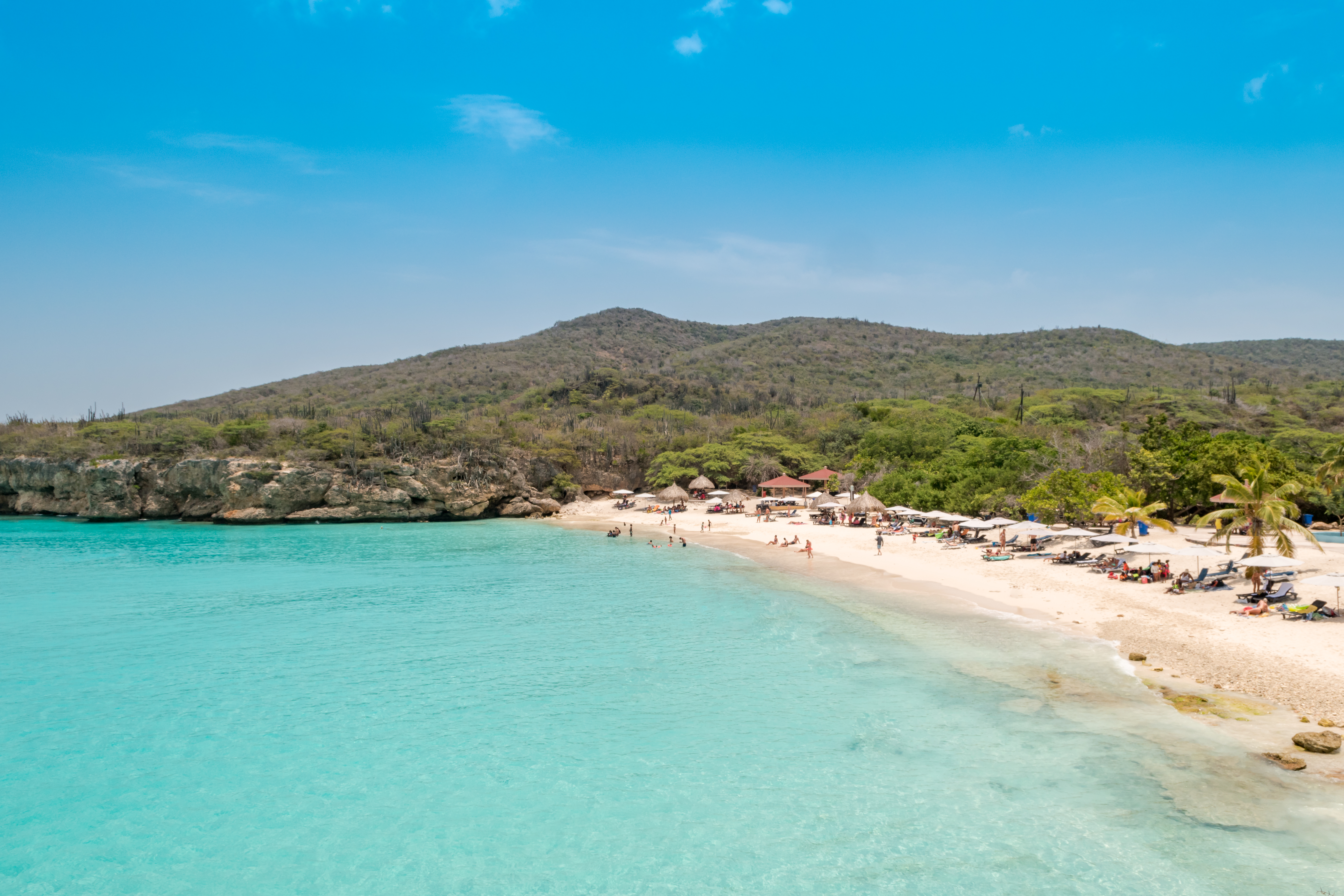 Grote Knip (Kenepa Grandi)
